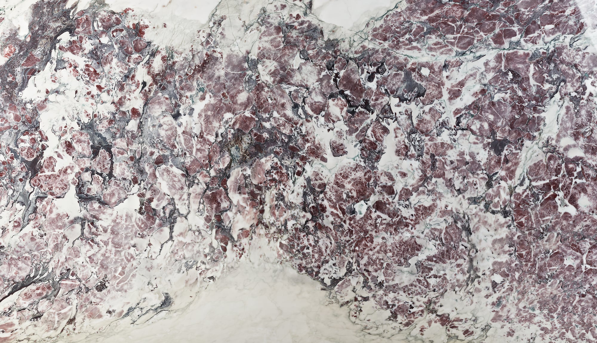 Breccia Capraia Marble Stone: Ultra-high-res texture photo