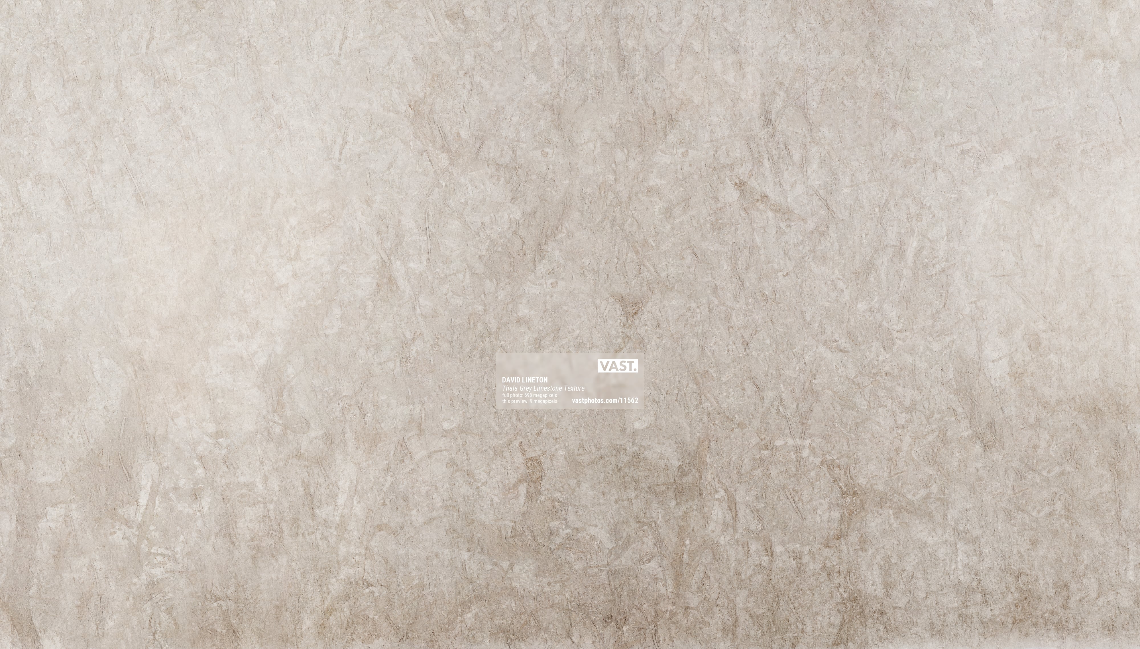 Limestone Texture Vicenza Sand Flamed Limestone | Prestige