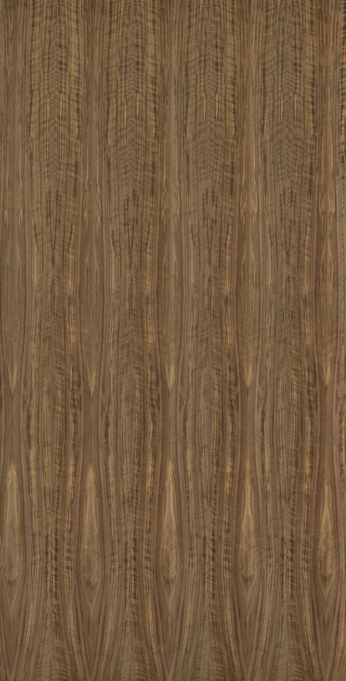 3,485 megapixels! An ultra-high-resolution texture photo file of natural american black walnut wood; gigapixel photograph created by David Lineton.
