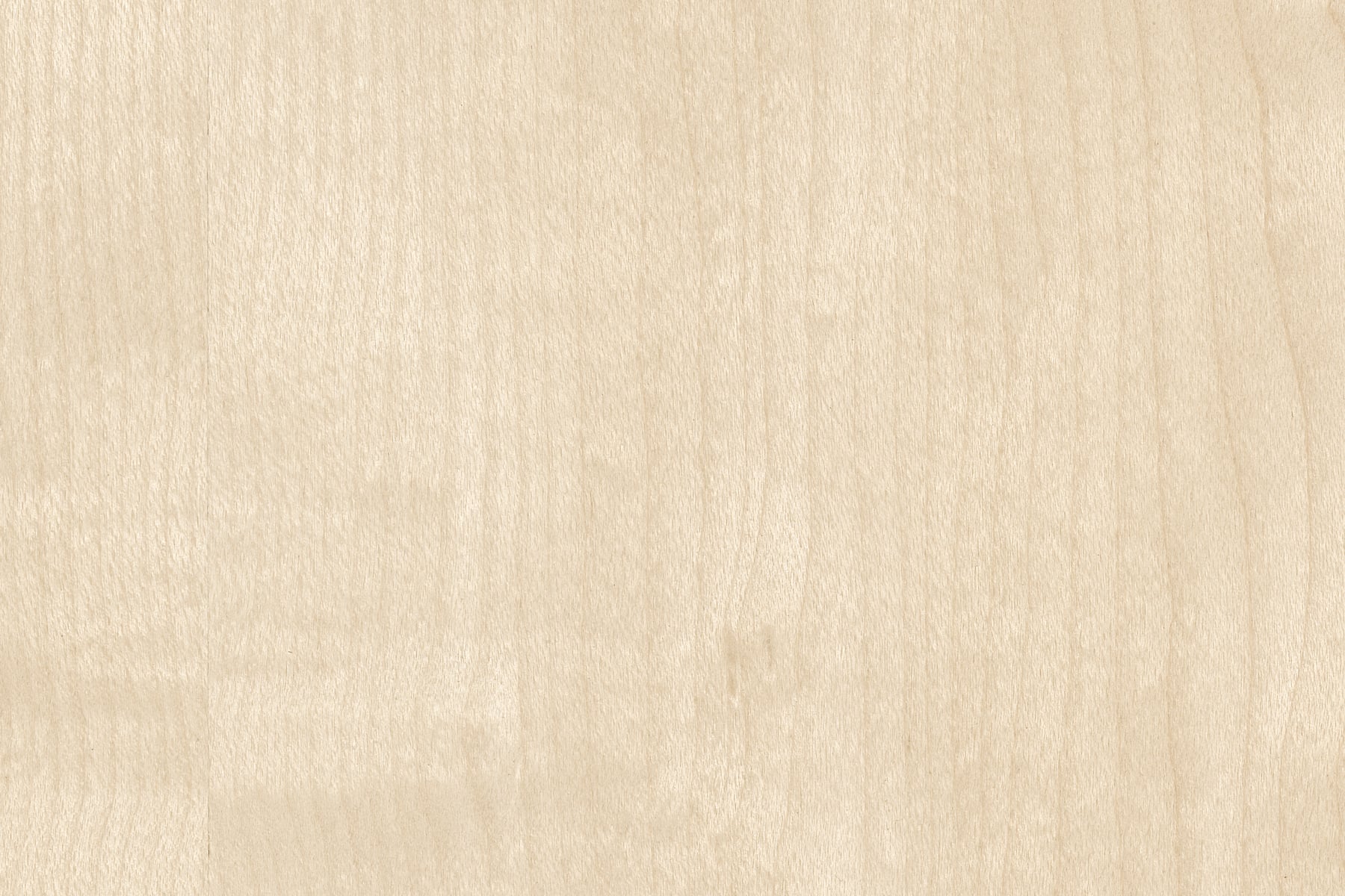 Maple Natural Wood: Ultra-high-resolution texture photo