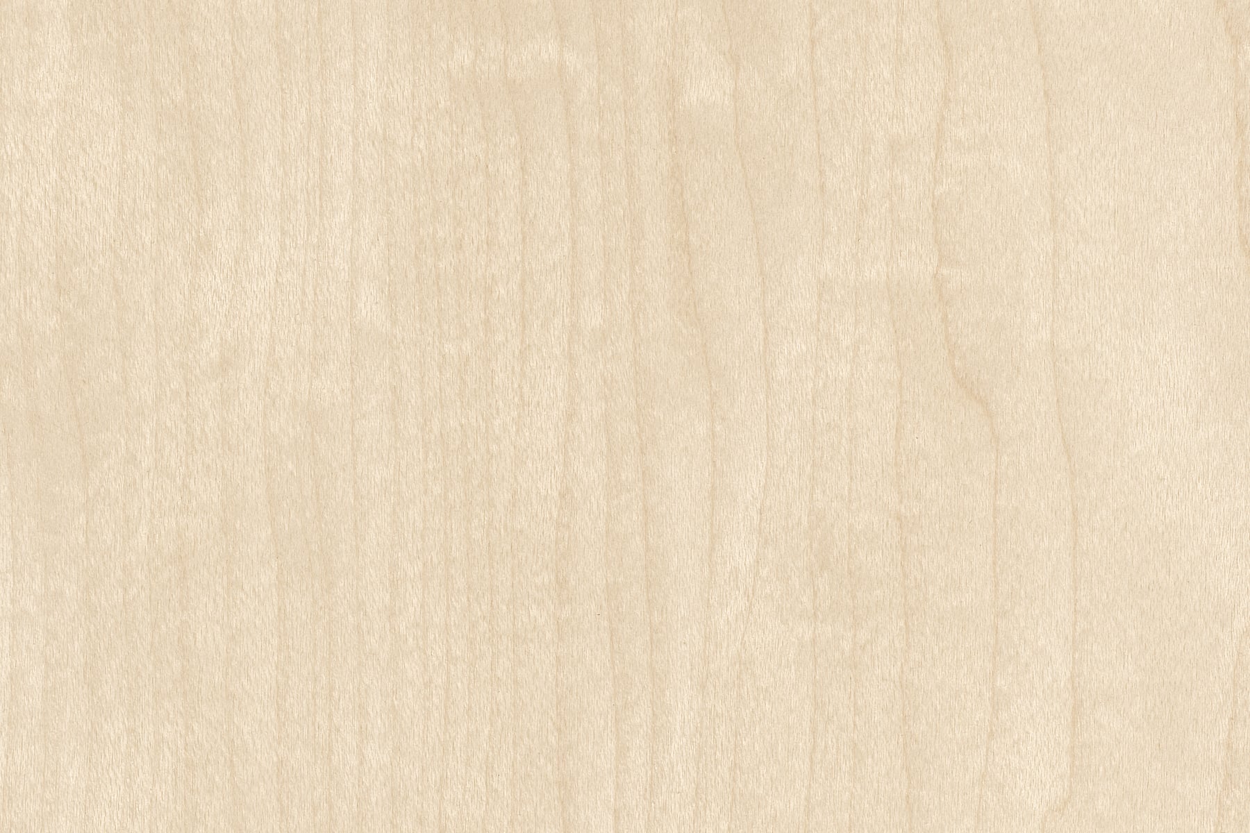 Maple Natural Wood: Ultra-high-resolution texture photo