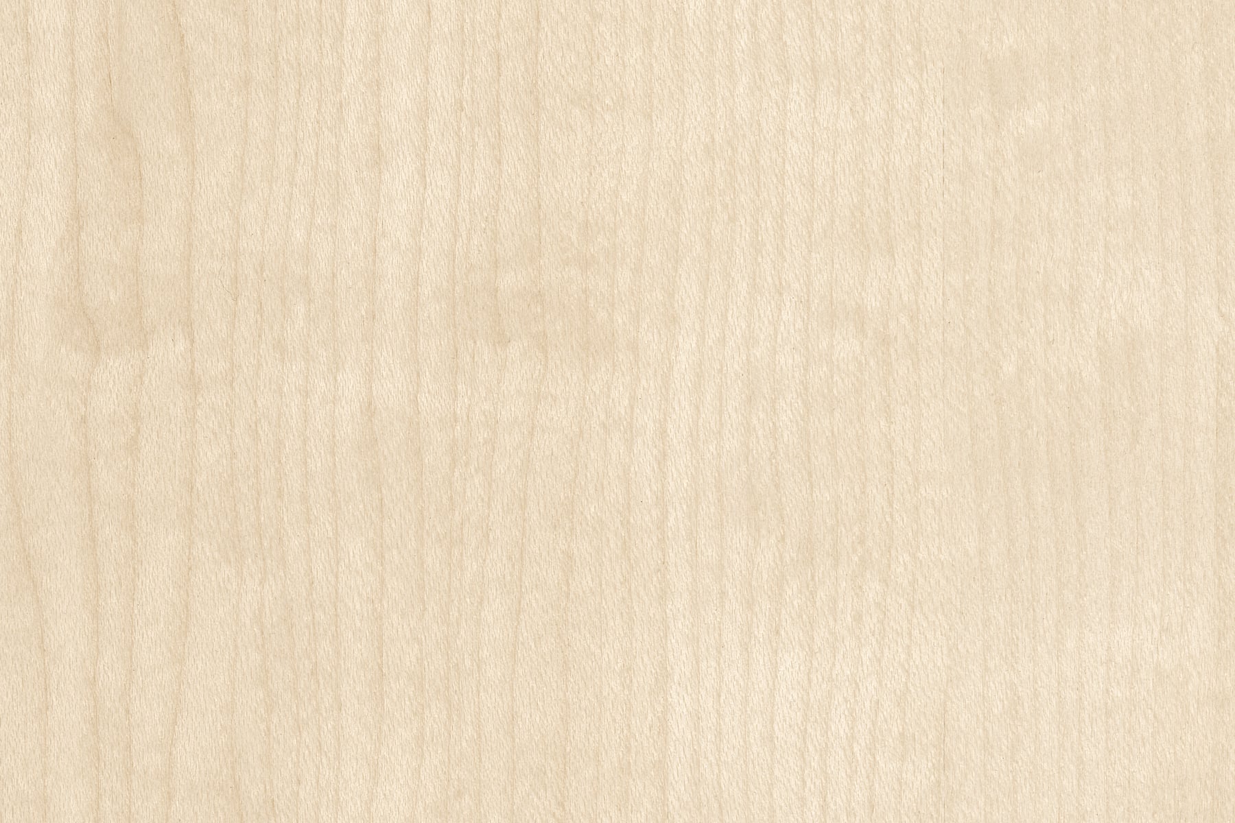Maple Natural Wood: Ultra-high-resolution texture photo