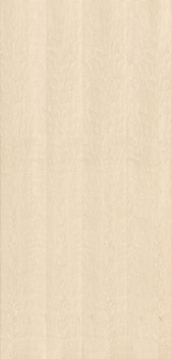 Maple Natural Wood: Ultra-high-resolution texture photo