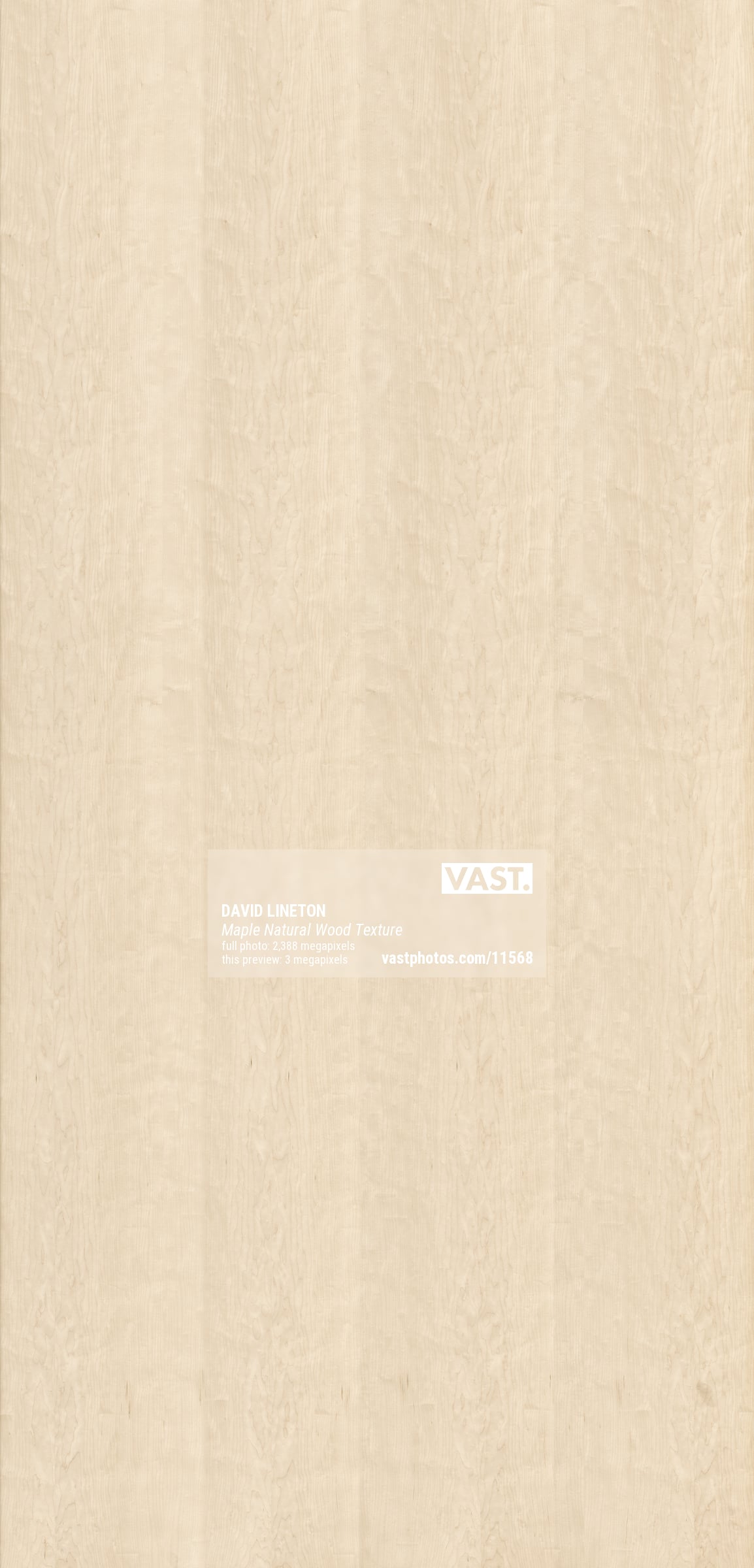 Maple Natural Wood: Ultra-high-resolution texture photo