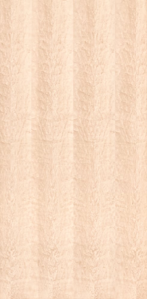 Maple Oiled Wood: Ultra-high-resolution texture photo