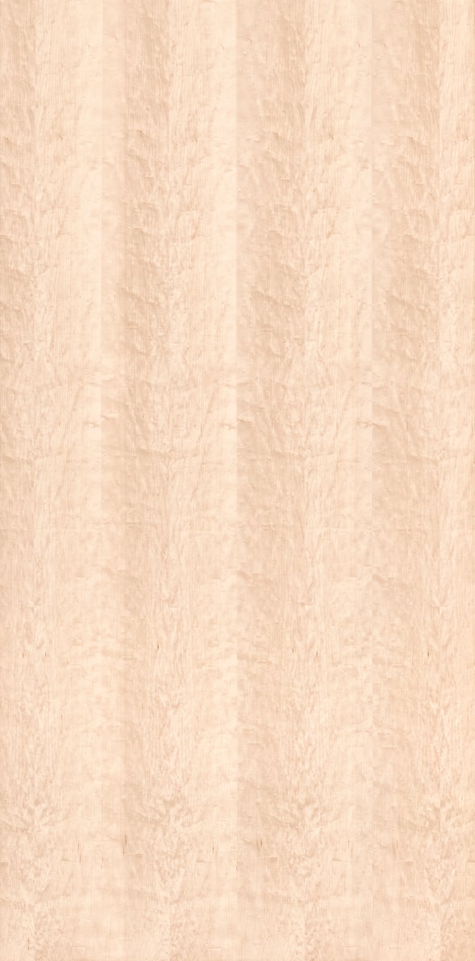 1,906 megapixels! An ultra-high-resolution texture photo file of oiled maple wood; gigapixel photograph created by David Lineton.
