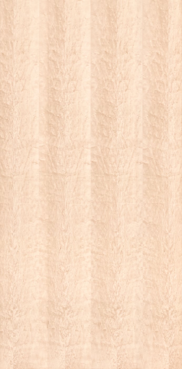 1,906 megapixels! An ultra-high-resolution texture photo file of oiled maple wood; gigapixel photograph created by David Lineton.