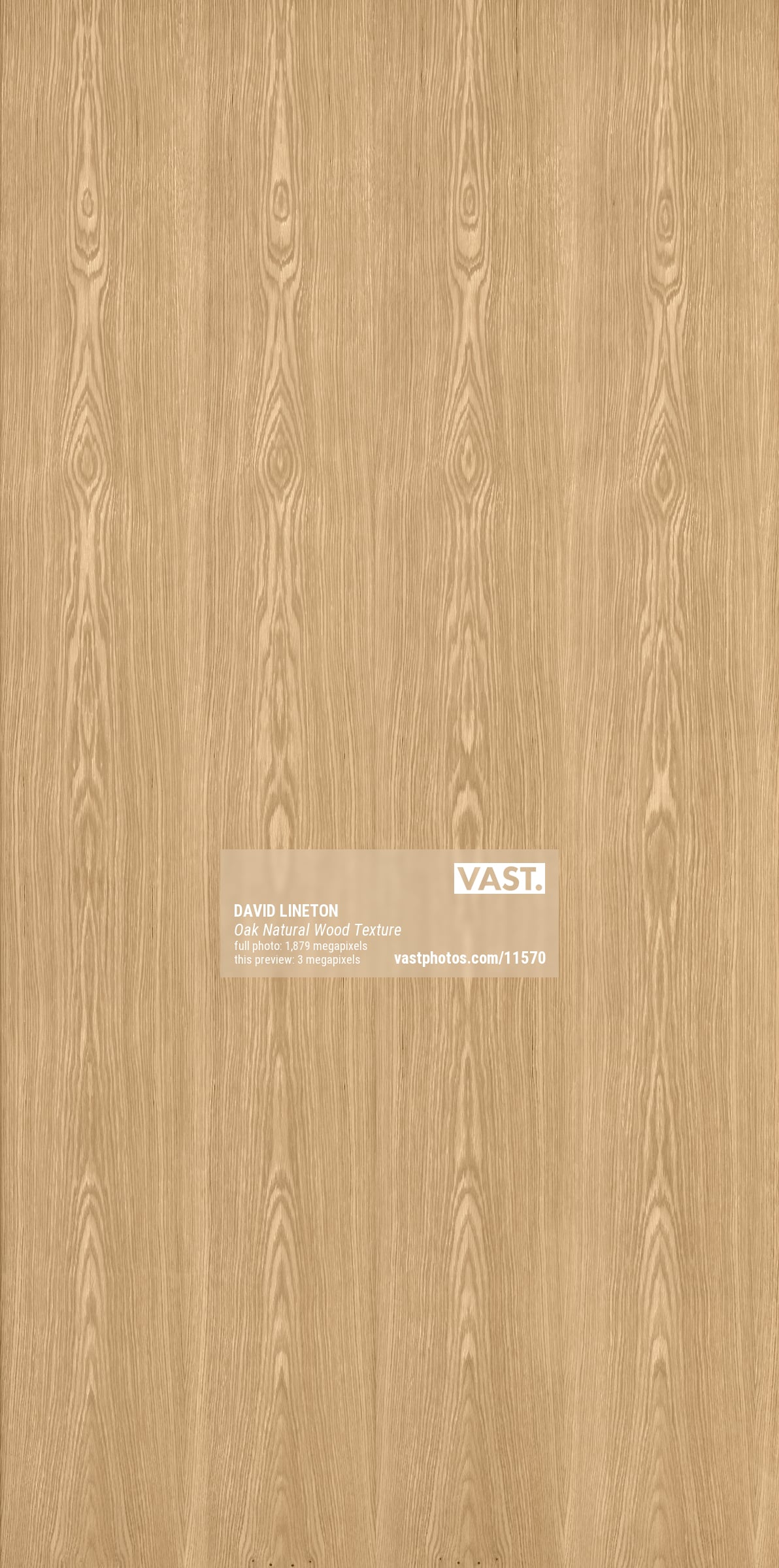 Timber Textu Oak Natural Wood: Ultra-high-resolution texture photo