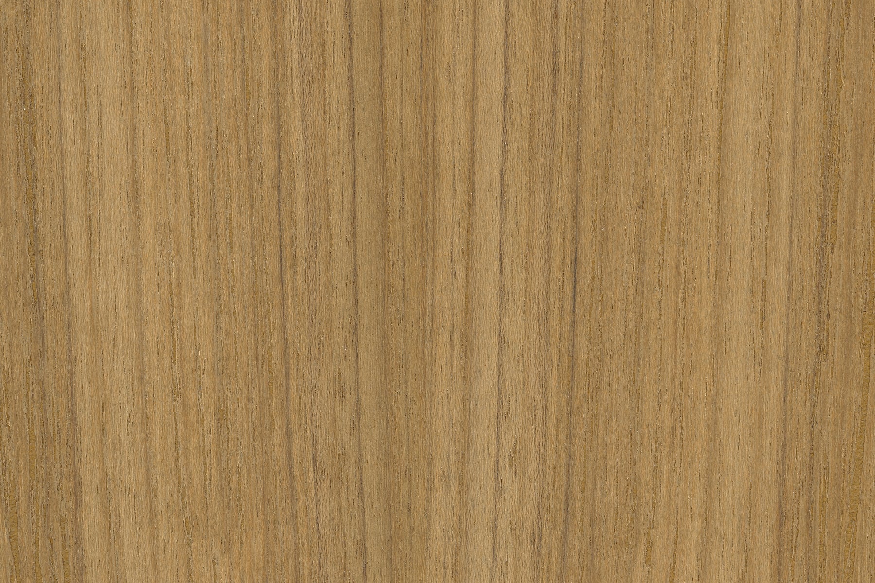 Rare Teak Natural Wood: Ultra-high-resolution texture photo