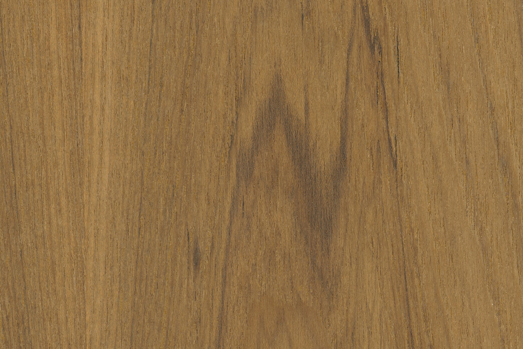 Rare Teak Natural Wood: Ultra-high-resolution texture photo