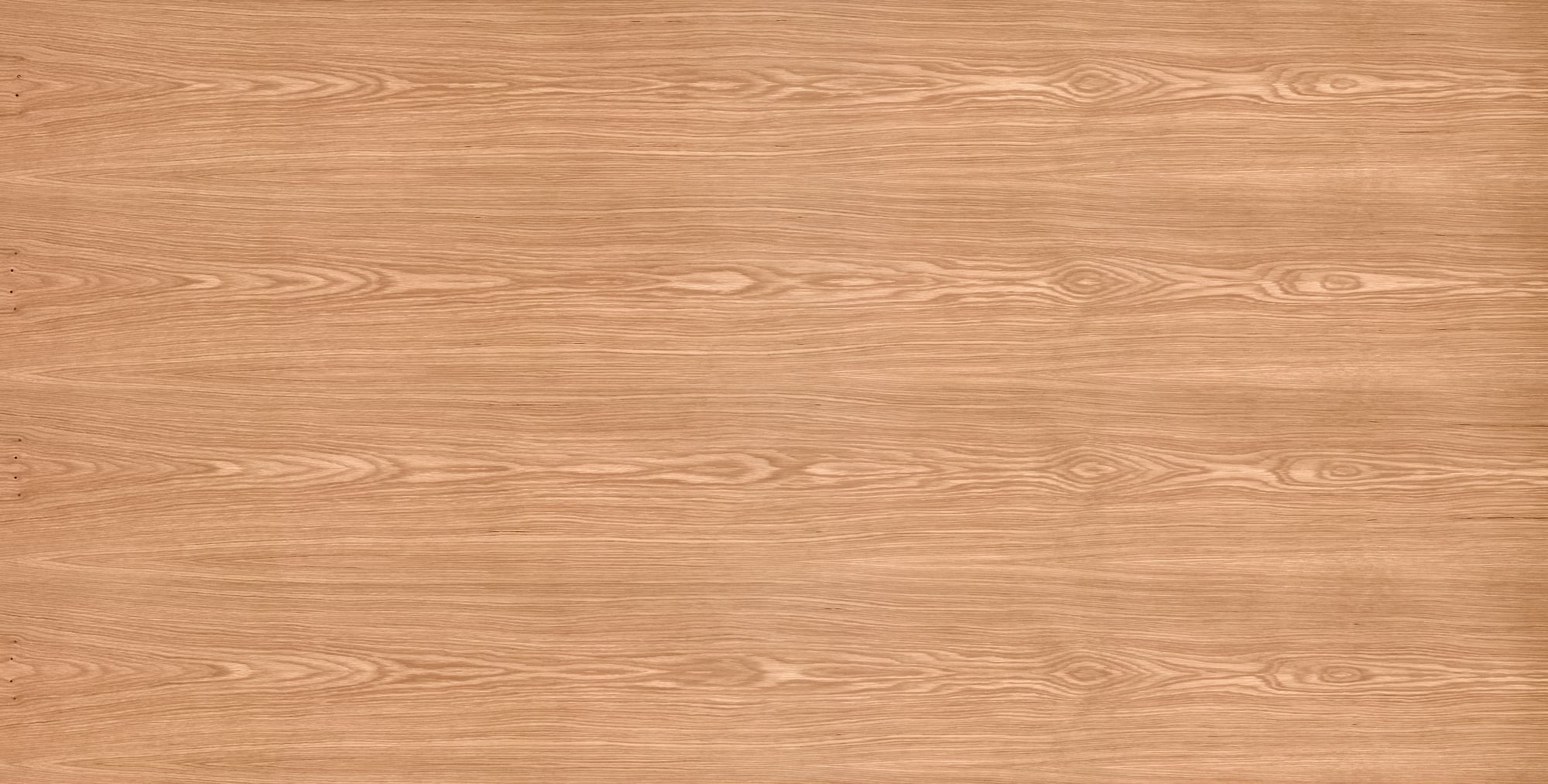 Oak Oiled Wood: Ultra-high-resolution texture photo
