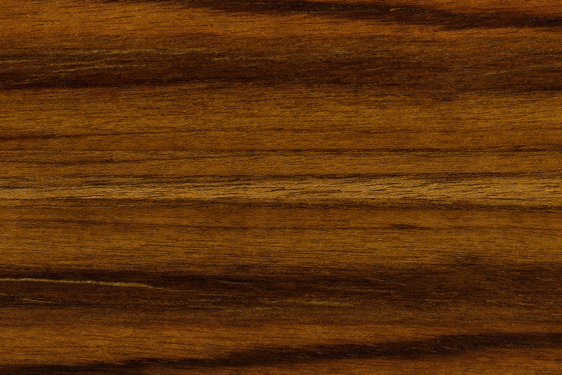 Rare Teak Oiled Wood: Ultra-high-resolution texture photo