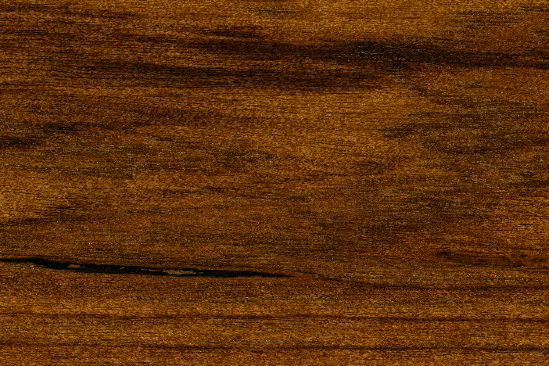 Rare Teak Oiled Wood: Ultra-high-resolution texture photo