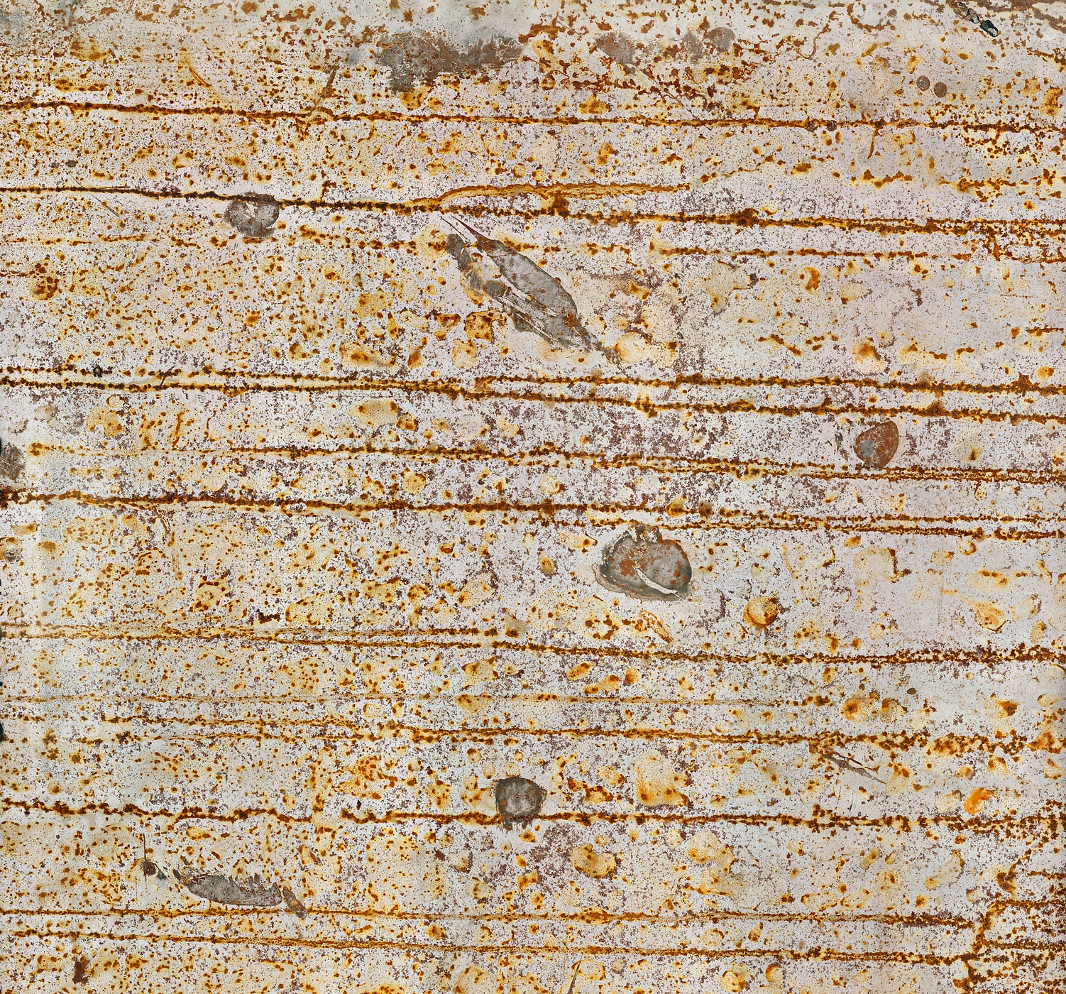 2,238 megapixels! An ultra-high-resolution texture photo file of a striped distressed rusted metal sheet; gigapixel photograph created by David Lineton.