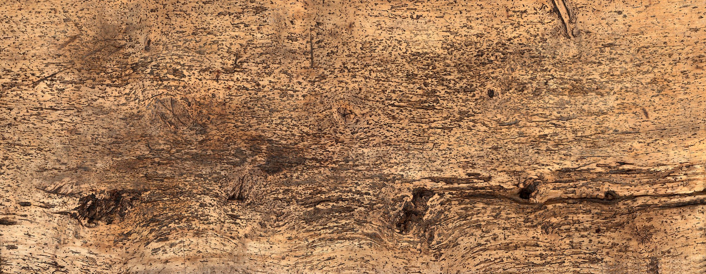 2,311 megapixels! An ultra-high-resolution texture photo file of an old pitted wood plank; gigapixel photograph created by David Lineton.