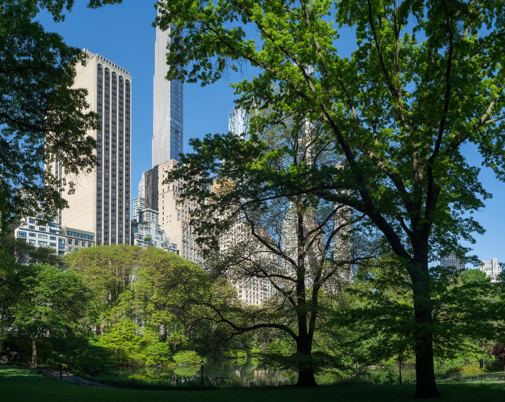209 megapixels! A very high resolution, large-format VAST photo print of green trees with skyscrapers in the background; photograph created by Greg Probst in Central Park, New York City.