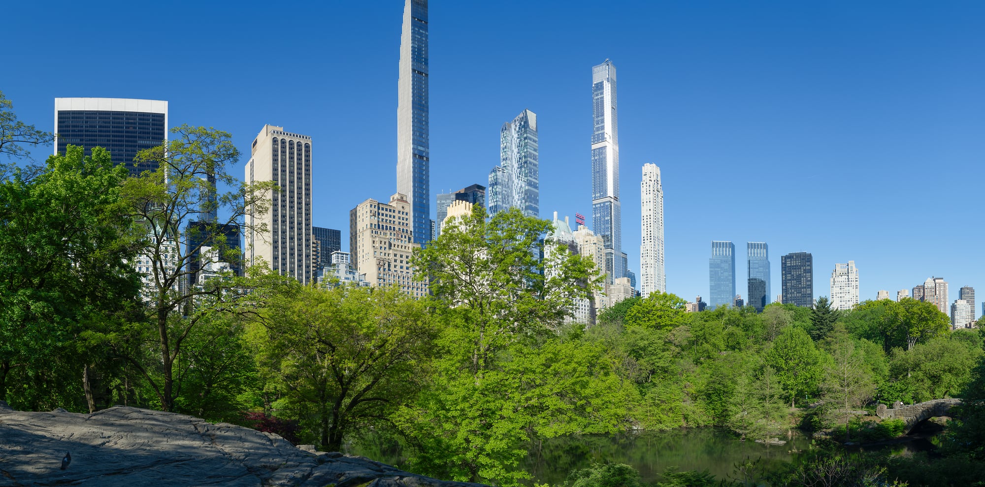 Photos of Billionaires' Row from Central Park - VAST