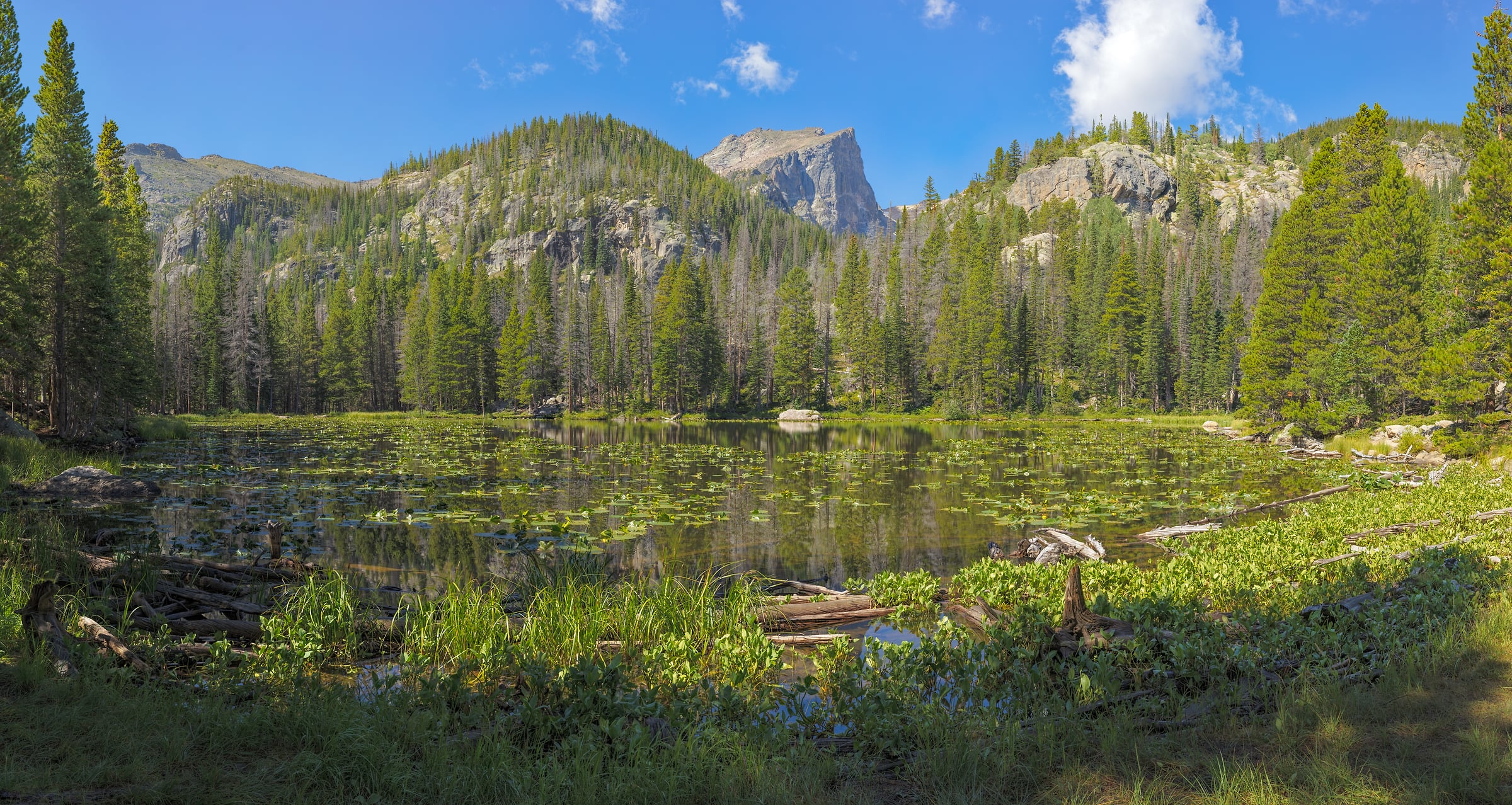 1,810 megapixels! A giant photo of a lake in nature that would be perfect for a wall mural; landscape photograph created by John Freeman at Nymph Lake in Rocky Mountain National Park, Colorado.