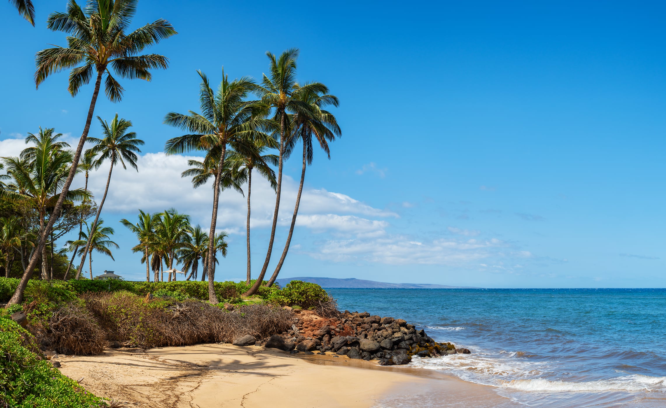 342 megapixels! A very high resolution, large-format VAST photo print of a tropical beach in Maui with palm trees and the Pacific Ocean; beach photograph created by Jim Tarpo in Kihei, Maui, Hawaii.