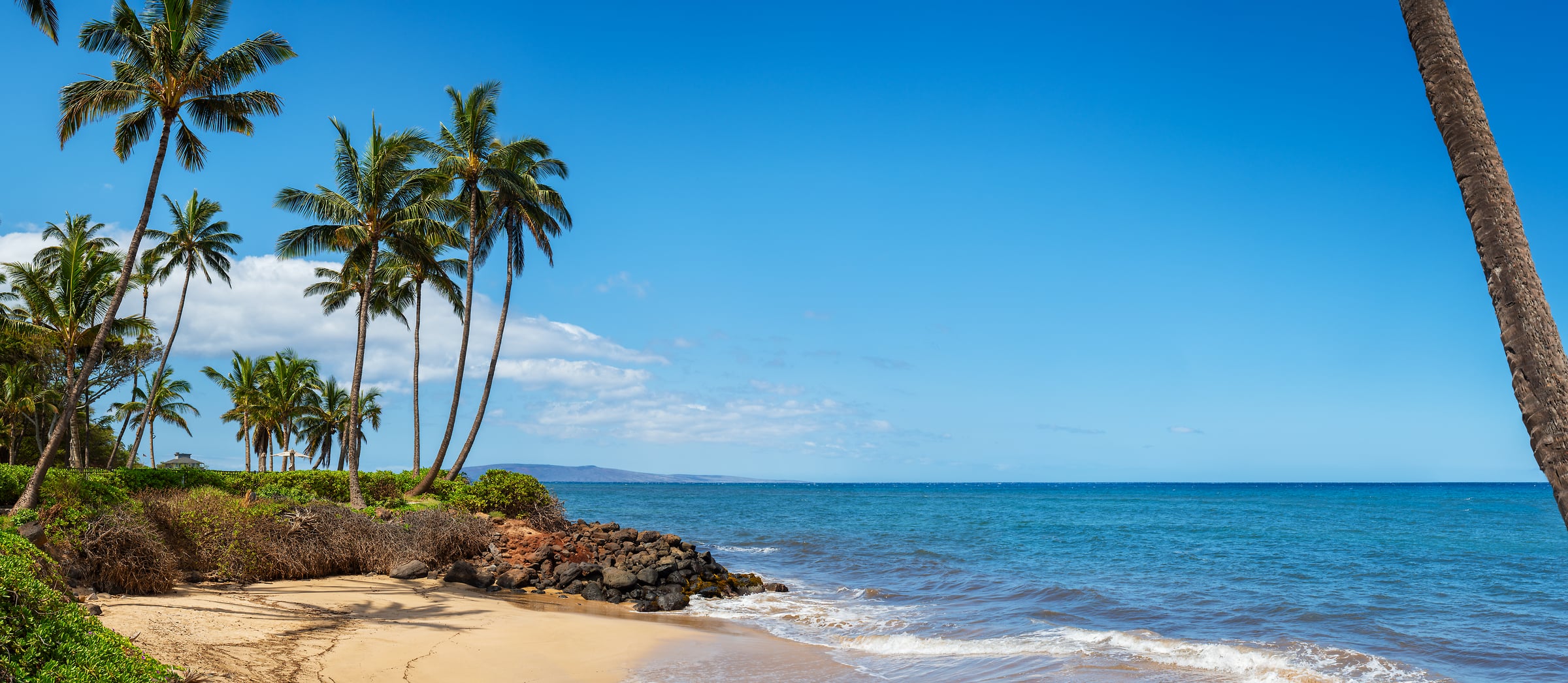 481 megapixels! A very high resolution, large-format VAST photo print of a tropical beach in Hawaii with palm trees and the Pacific Ocean; beach photograph created by Jim Tarpo in Kihei, Maui, Hawaii.