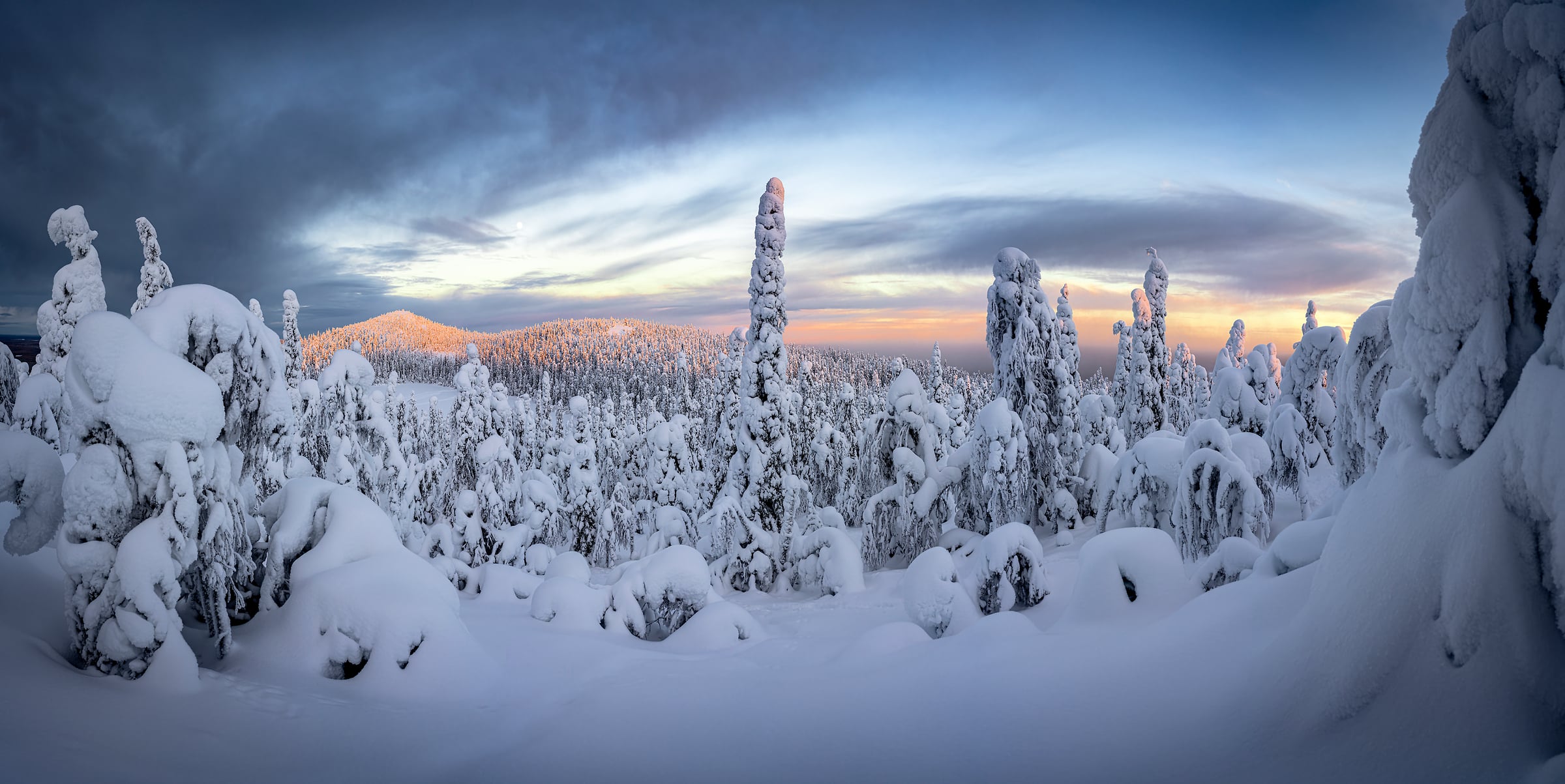 319 megapixels! A very high resolution, large-format VAST photo print of a winter scene with snow-covered trees; photograph created by Roberto Moiola in Ruka, Finland.
