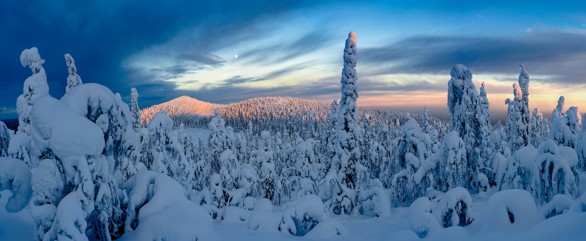 325 megapixels! A very high resolution, large-format VAST photo print of a winter scene with snow-covered trees and snowy hills at evening; landscape photograph created by Roberto Moiola in Ruka, Finland.