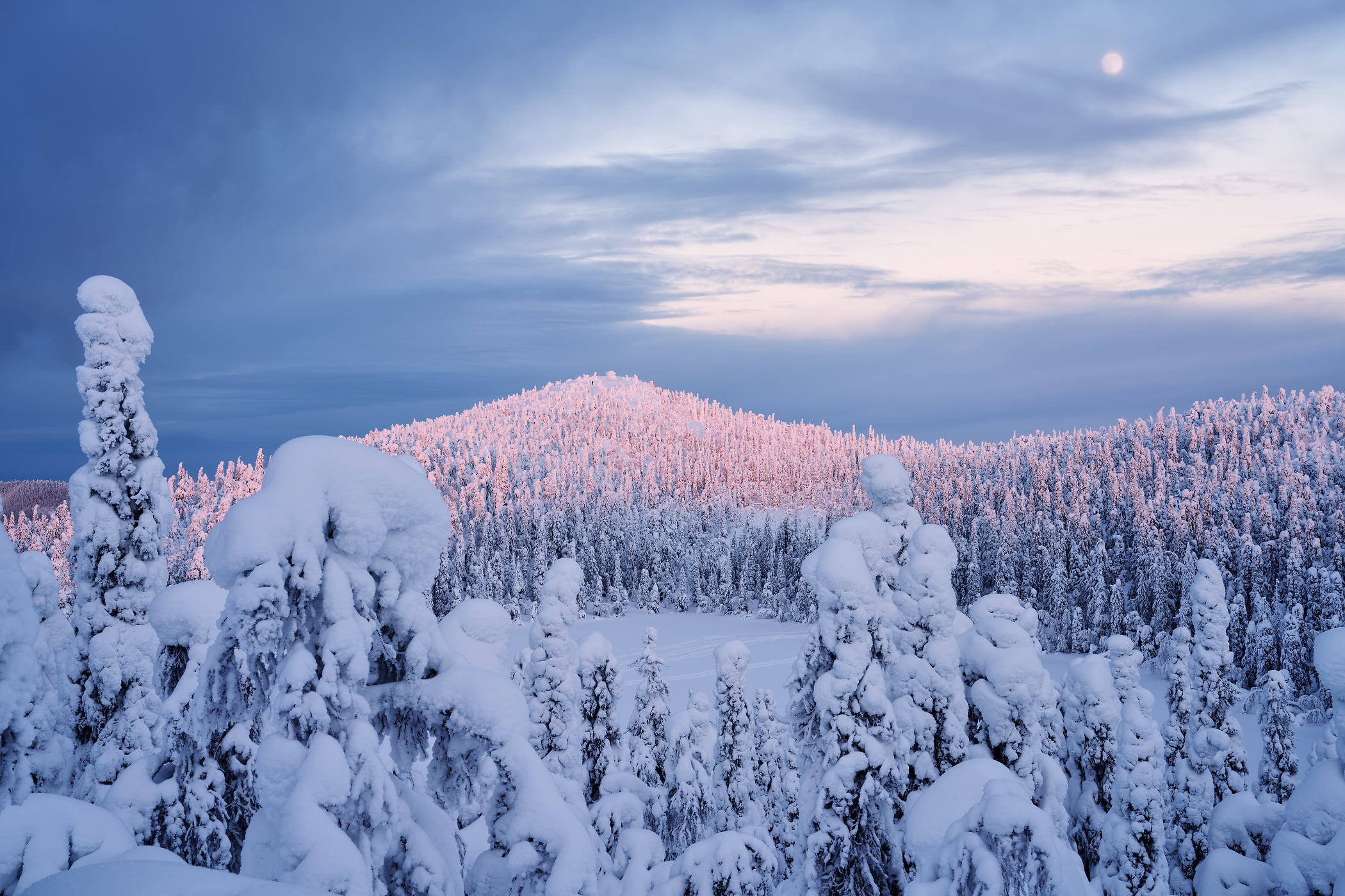 233 megapixels! A very high resolution, large-format VAST photo print of a snowy hill; landscape photograph created by Roberto Moiola in Ruka Kuusamo, Valtavaara trail, Finland.