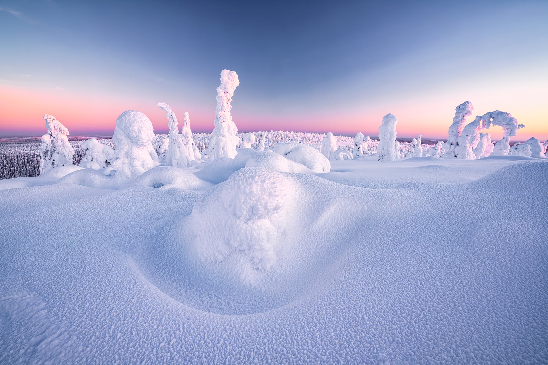 150 megapixels! A very high resolution, large-format VAST photo print of a snow-covered landscape in the Arctic with snow-covered trees; photograph created by Roberto Moiola in Riisitunturi National Park, Finland.