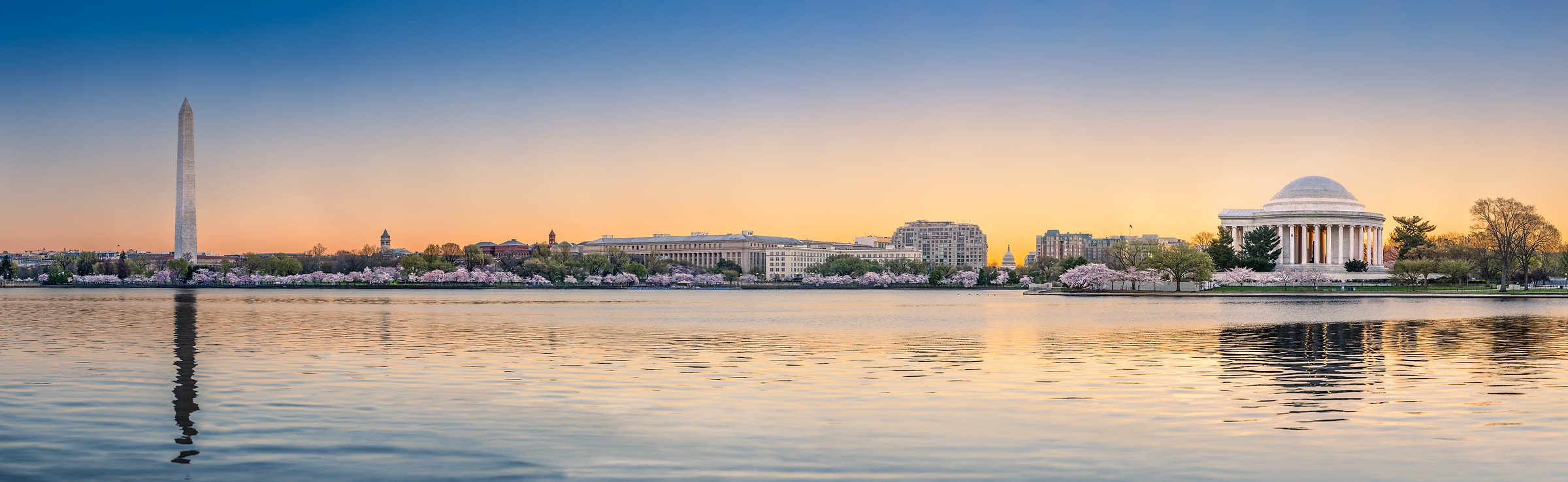 1,561 megapixels! A very high resolution, large-format VAST photo print of the Tidal Basin with the Washington Monument, Jefferson Memorial, U.S. Capitol Building, and cherry blossoms at sunrise; panorama photograph created by Tim Lo Monaco on the National Mall in Washington, D.C.