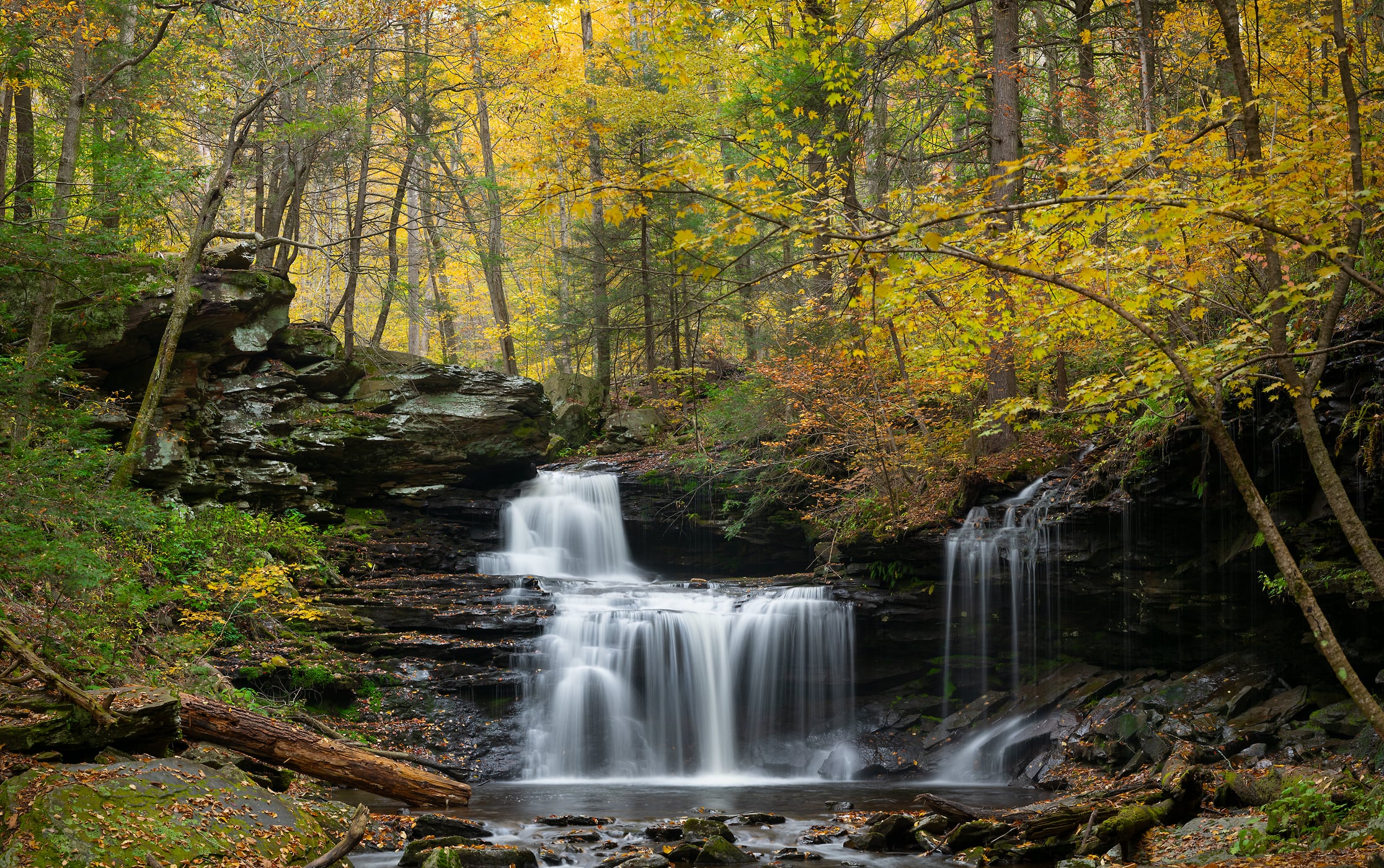 479 megapixels! A very high resolution, large-format VAST photo print of a waterfall in the woods of the Appalachian Mountains in autumn; nature photograph created by Greg Probst at Ricketts Falls in Ricketts Glen State Park, Pennsylvania.
