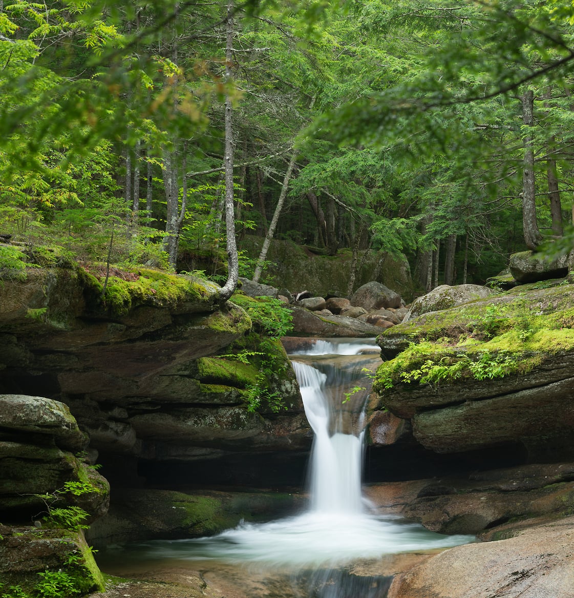 New Hampshire Nature Photos - VAST