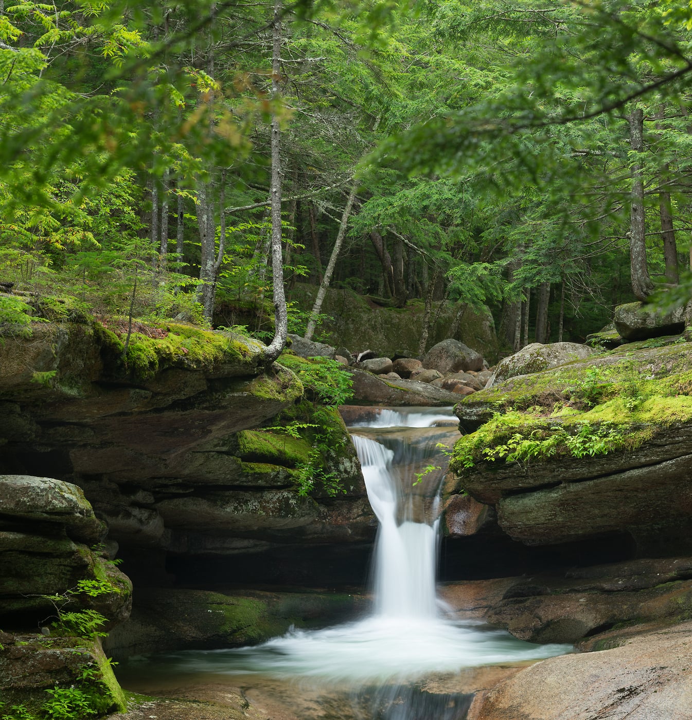 150 megapixels! A very high resolution, large-format VAST photo print of a beautiful waterfall in the woods of New Hampshire; nature photograph created by Greg Probst in White Mountains National Forest, New Hampshire.