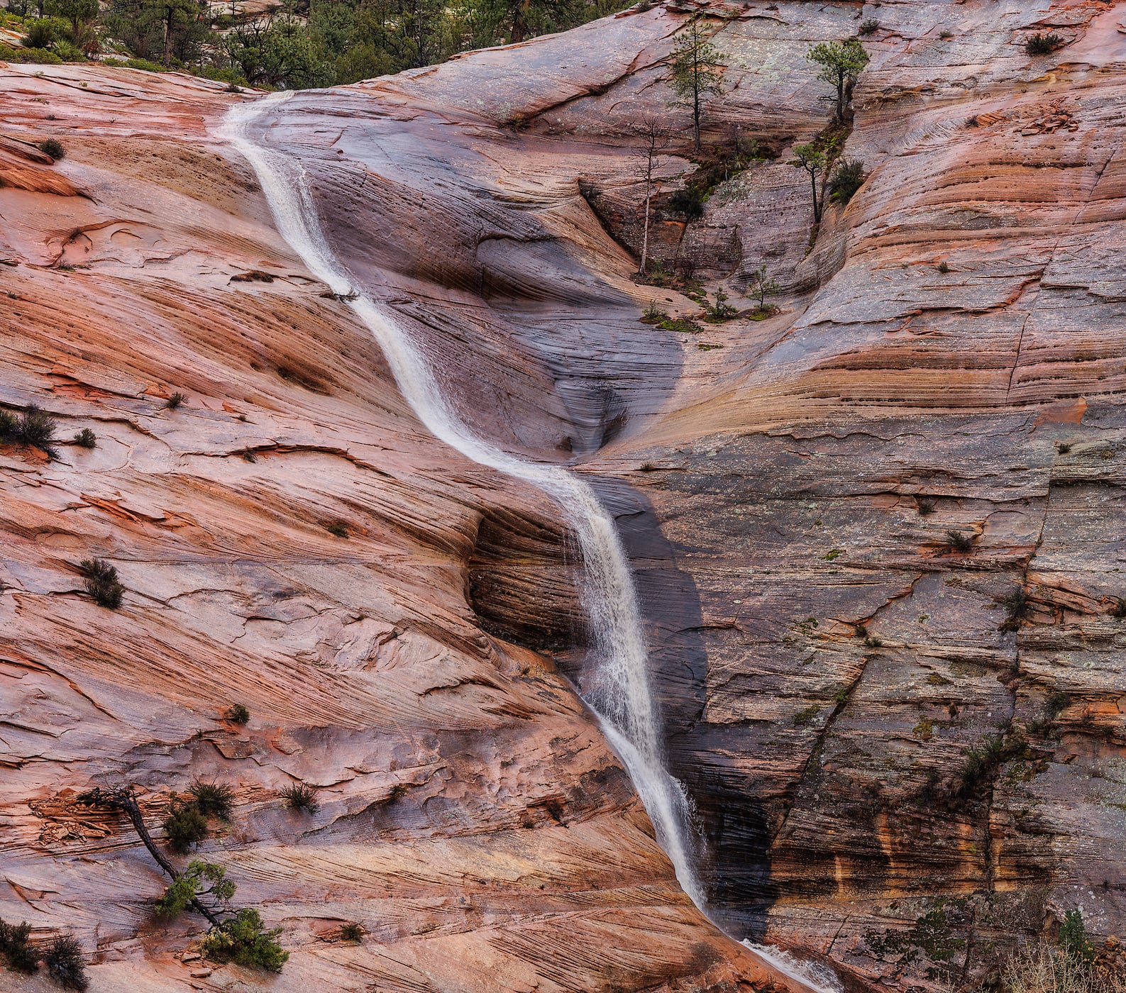 189 megapixels! A very high resolution, large-format VAST photo print of a peaceful waterfall in Zion National Park; photograph created by Chris Blake in Zion National Park, Utah.