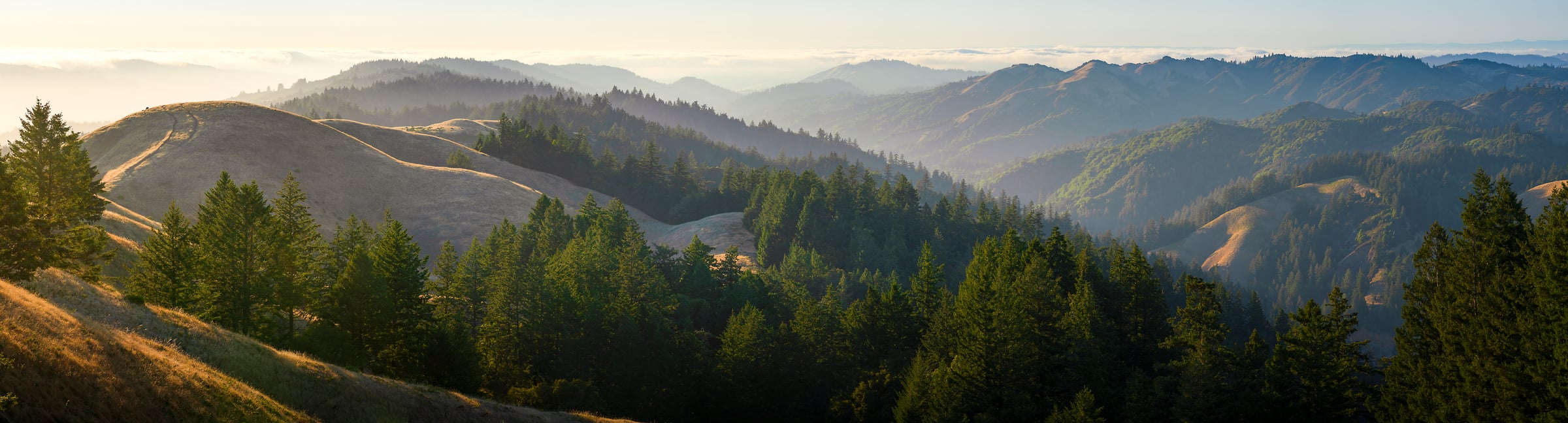 301 megapixels! A very high resolution, panorama photo of rolling hills and trees; landscape photograph created by Jeff Lewis in Marin County, California.