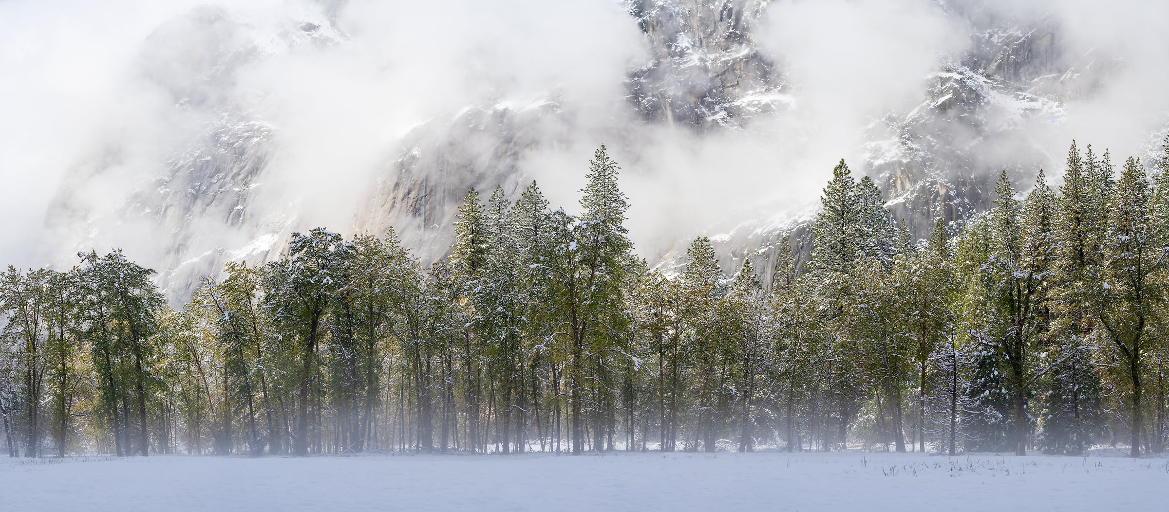192 megapixels! A very high resolution, large-format VAST photo print of a beautiful winter scene with snow-covered ground, trees, and mountains with mist; nature photograph created by Jeff Lewis in Yosemite National Park, California.