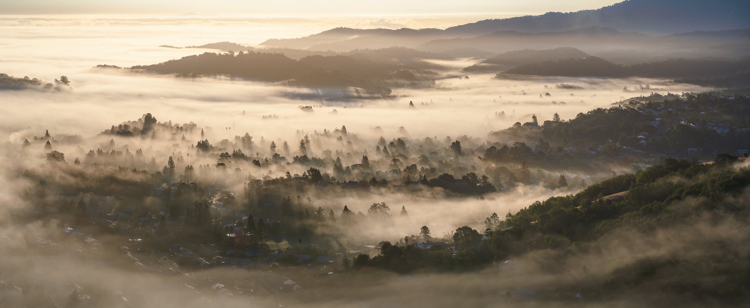 216 megapixels! A very high resolution, large-format VAST photo print of a valley with fog and trees at sunrise; landscape photograph created by Jeff Lewis in Marin County, California.