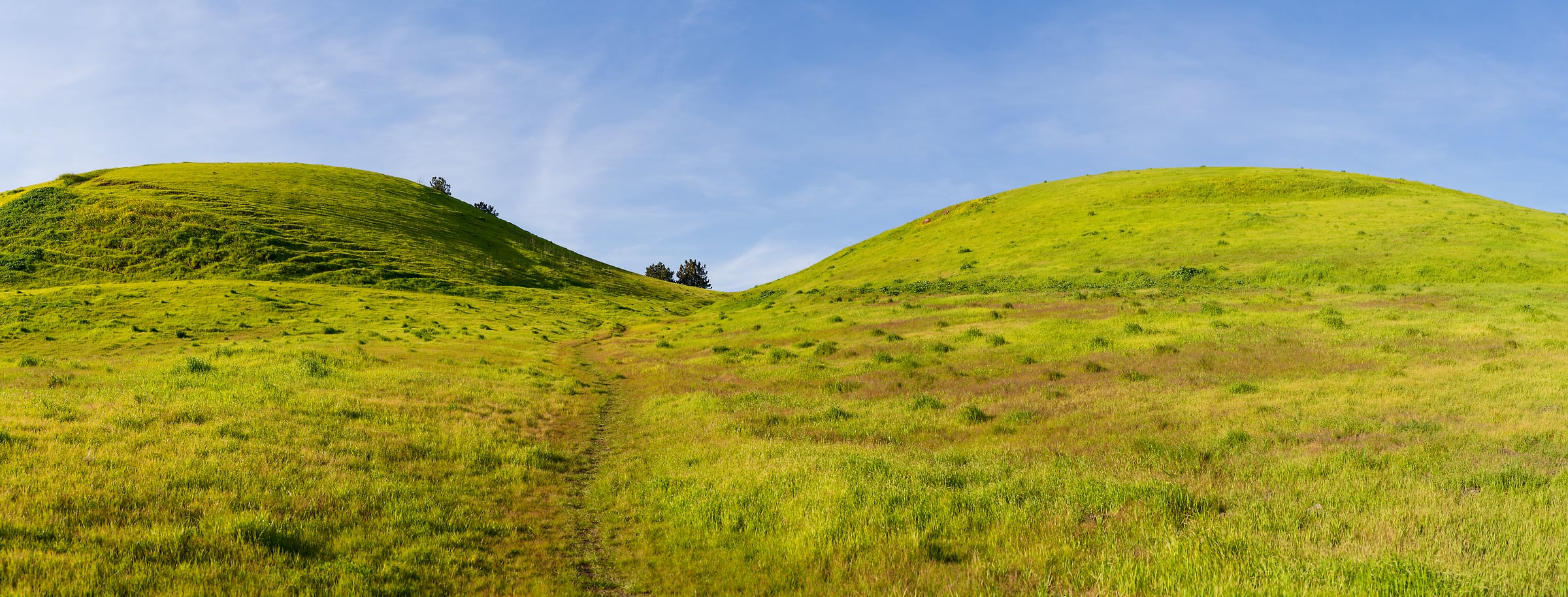 246 megapixels! A very high resolution, large-format VAST photo print of two green, grass-covered hills; landscape photograph created by Jeff Lewis in San Jose, California.