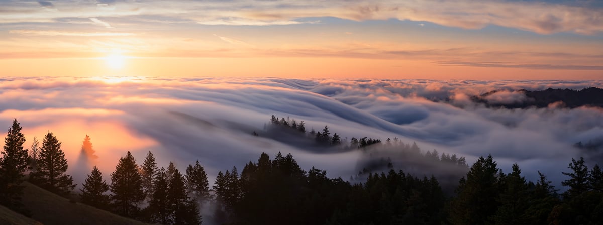 103 megapixels! A very high resolution, large-format VAST photo print of fog and clouds at sunset; landscape photograph created by Jeff Lewis in Mt. Tamalpais, Marin County, California.