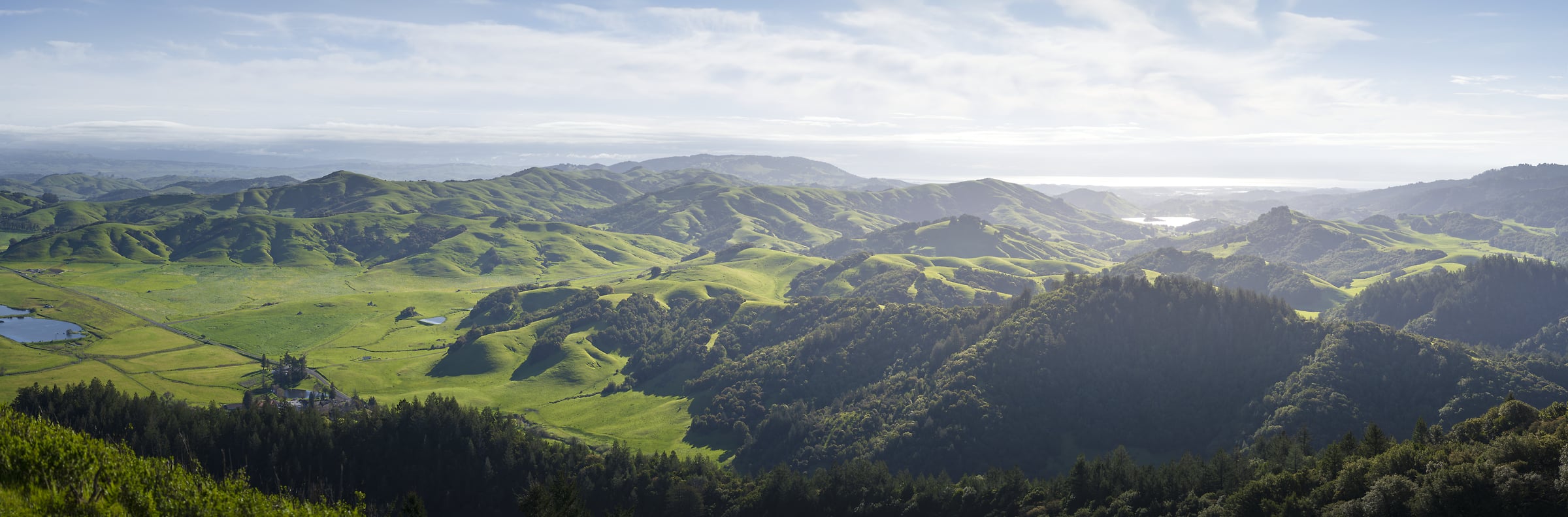 502 megapixels! A very high resolution photo of beautiful green hills; wall mural photograph created by Jeff Lewis in Marin County, California.