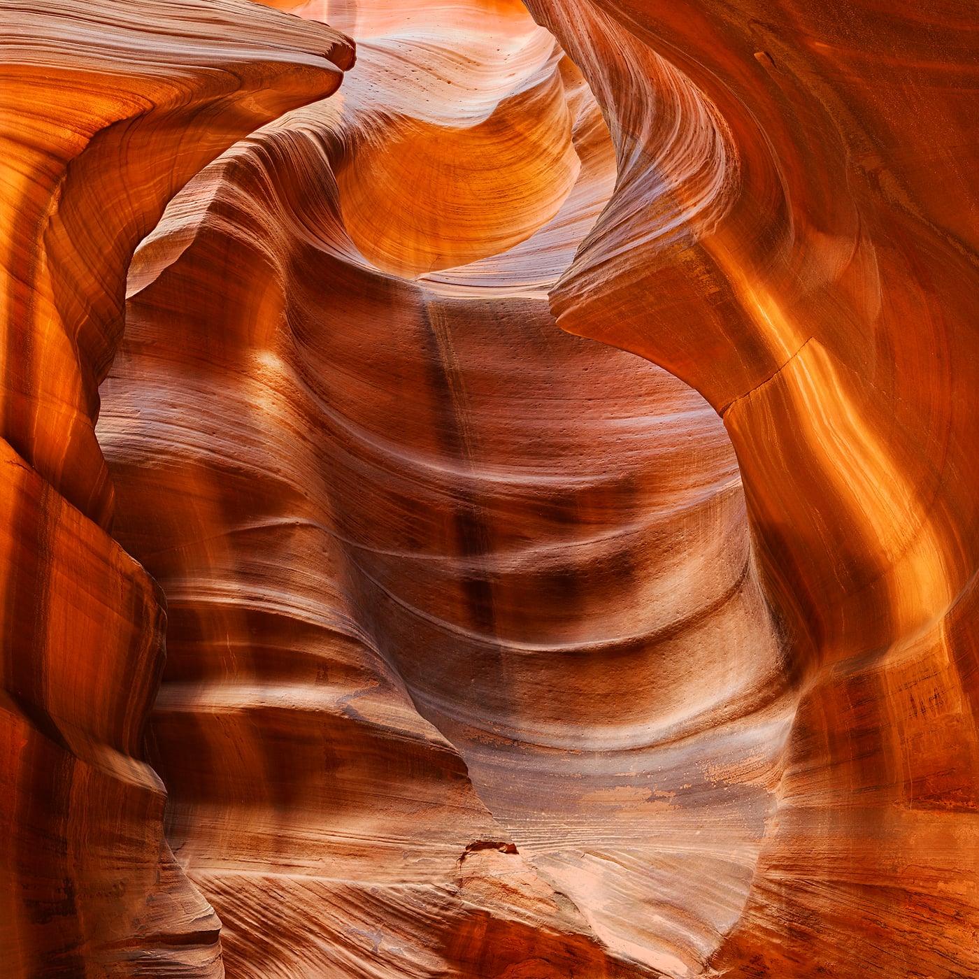 1,444 megapixels! A very high resolution, large-format VAST photo print of a beautiful slot canyon with illuminated by warm light; nature photograph created by Scott Dimond in Arizona.