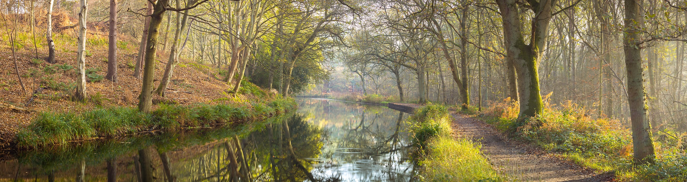 215 megapixels! A very high resolution, large-format VAST photo print of a canal in nature with a beautiful forest; nature photograph created by Assaf Frank in Basingstoke Canal, United Kingdom.