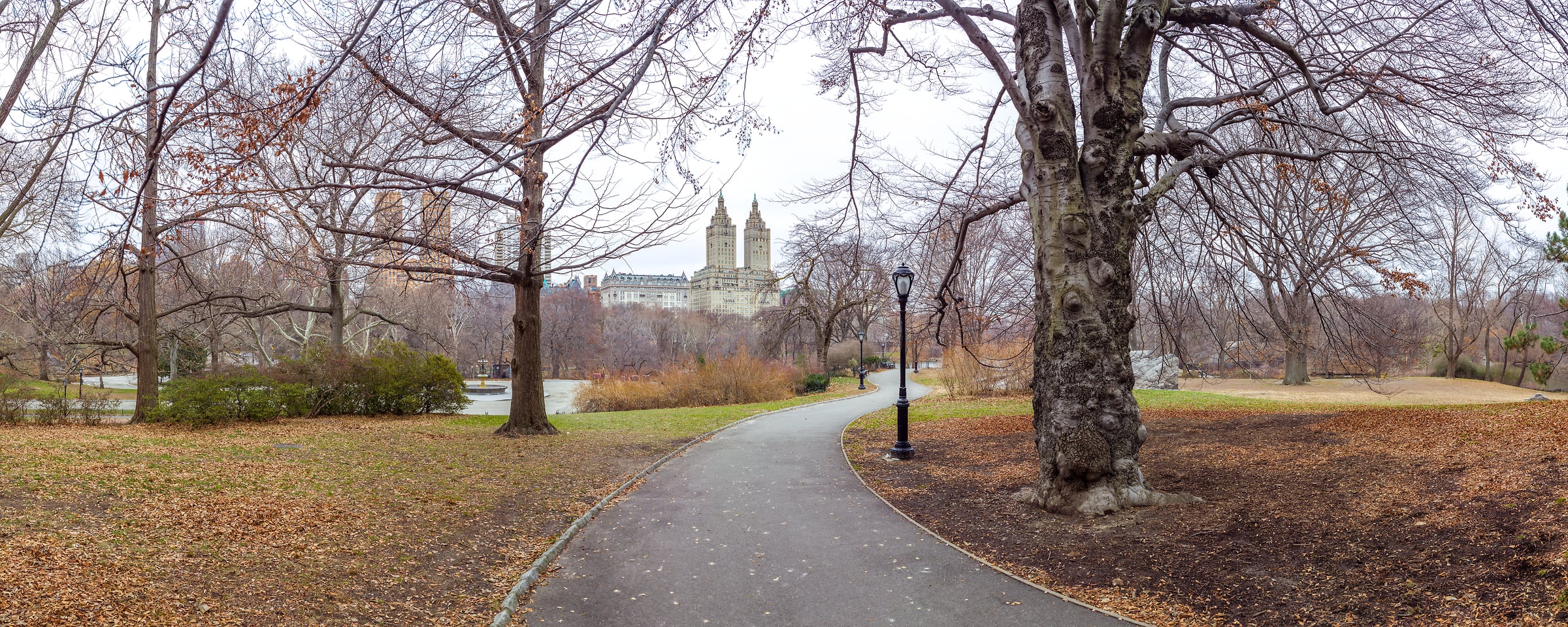 265 megapixels! A very high resolution, large-format VAST photo print of a pathway in Central Park, New York City; photograph created by Assaf Frank.