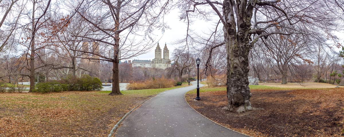 265 megapixels! A very high resolution, large-format VAST photo print of a pathway in Central Park, New York City; photograph created by Assaf Frank.