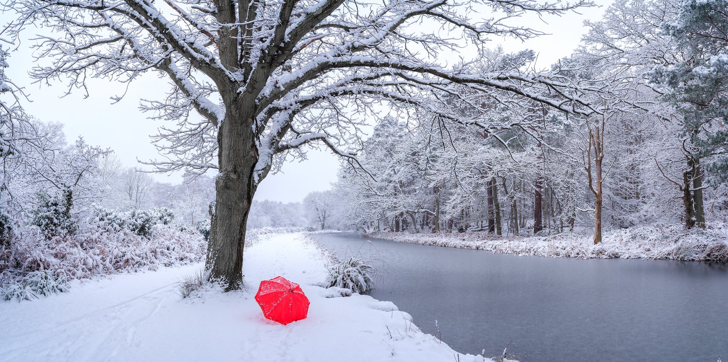 212 megapixels! A very high resolution, large-format VAST photo print of a red umbrella on snow-covered ground beneath a tree next to a canal during winter; fine art photograph created by Assaf Frank at Basingstoke Canal in Woking, United Kingdom.