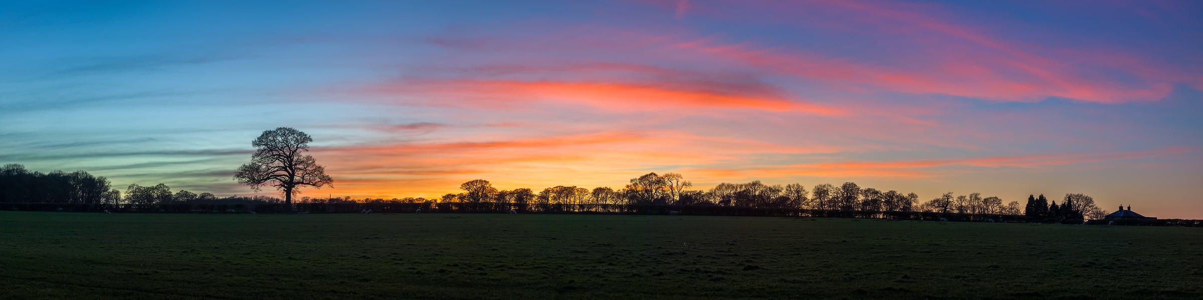 249 megapixels! A very high resolution, large-format panorama photo print of sunset over a field with a few trees; panorama photograph created by Assaf Frank in Dockey Wood, Berkhamsted, United Kingdom.