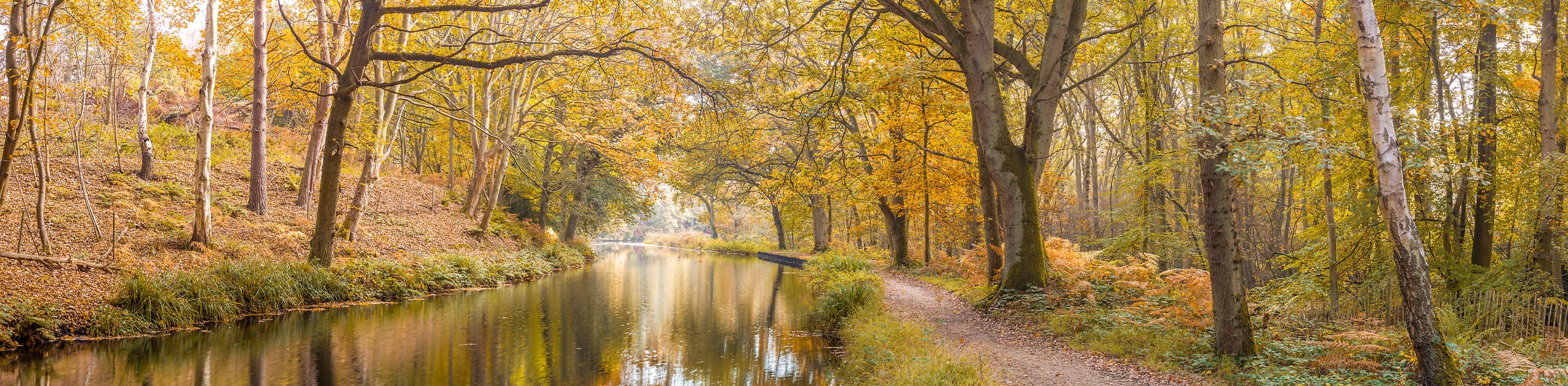 241 megapixels! A very high resolution, large-format VAST photo print of a peaceful nature scene with a forest, trail, and canal in autumn; fine art photograph created by Assaf Frank in Camberley, United Kingdom.