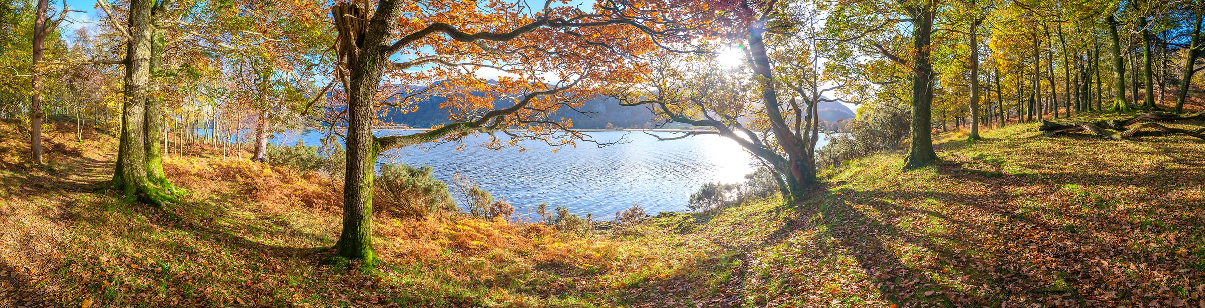 221 megapixels! A very high resolution, large-format VAST photo print of Derwentwater Lake and a forest; panorama photograph created by Assaf Frank in Borrowdale, Keswick, United Kingdom.