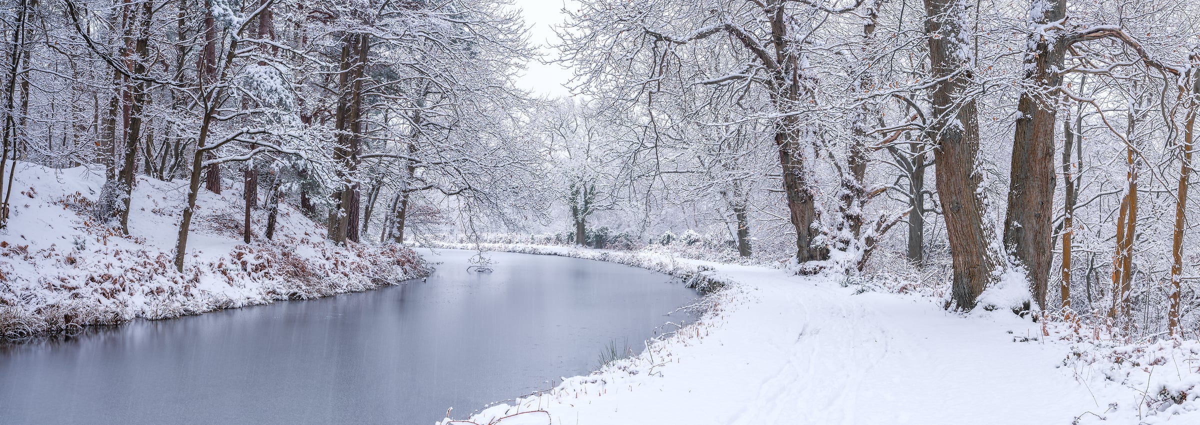 205 megapixels! A very high resolution, large-format VAST photo print of a canal river flowing through a forest in the winter with snow on the ground and in the trees; nature photograph created by Assaf Frank at Basingstoke Canal in Woking, United Kingdom.