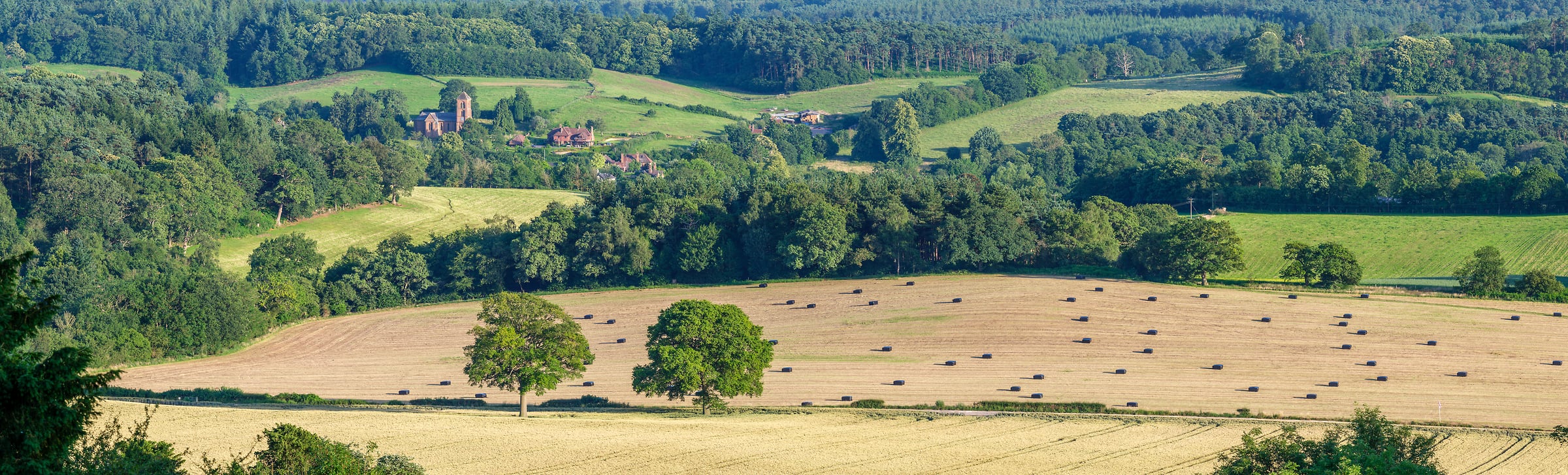 249 megapixels! A very high resolution, large-format VAST photo print of the English countryside with farmland, fields, rolling hills, and trees; landscape photograph created by Assaf Frank in Albury, Guildford, Surrey, United Kingdom.