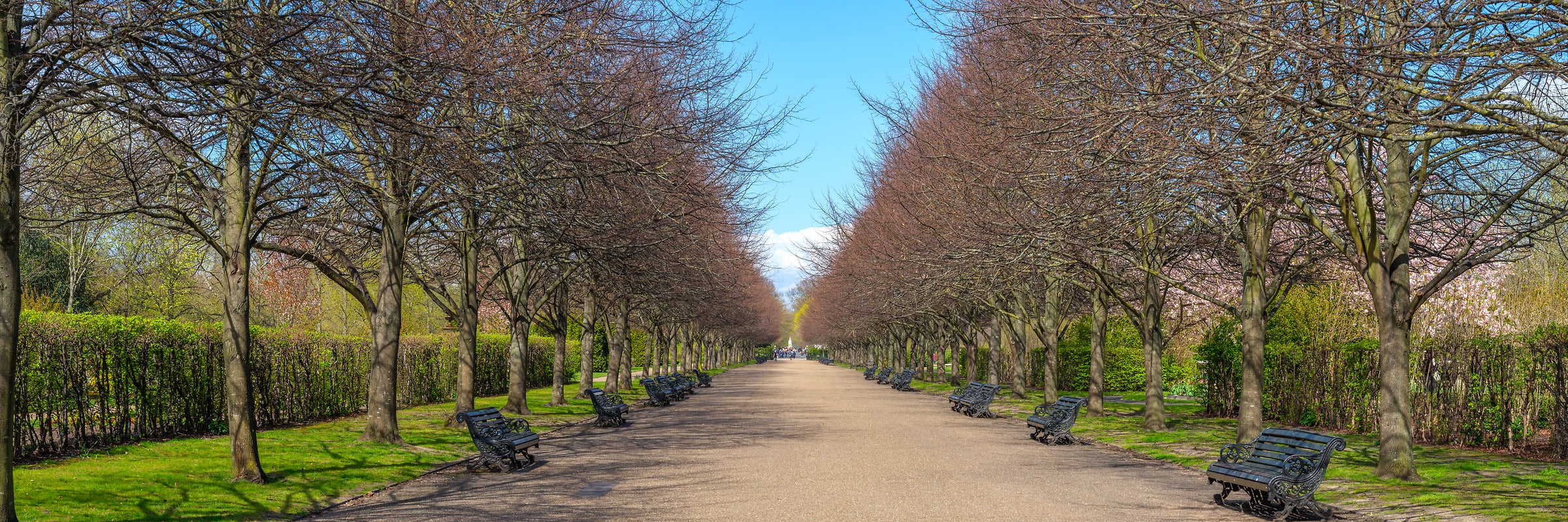 225 megapixels! A very high resolution, large-format VAST photo print of The Broad Walk in Regent's Park; photograph created by Assaf Frank in London, United Kingdom.